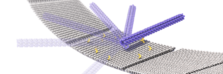 Nanotecnologie e le nuove frontiere della robotica: arriva il robot fatto di DNA mosso da remoto