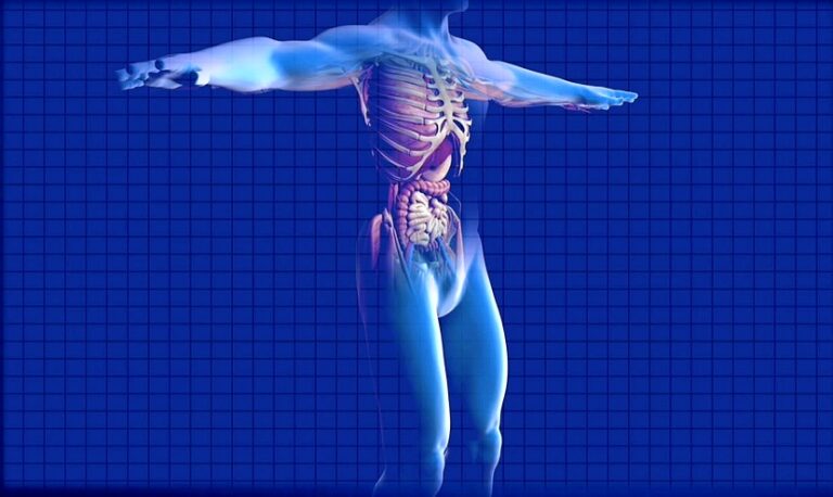 Nuova collaborazione tra Amgen ed IBM: un assistente virtuale personalizzato al servizio dei nefrologi