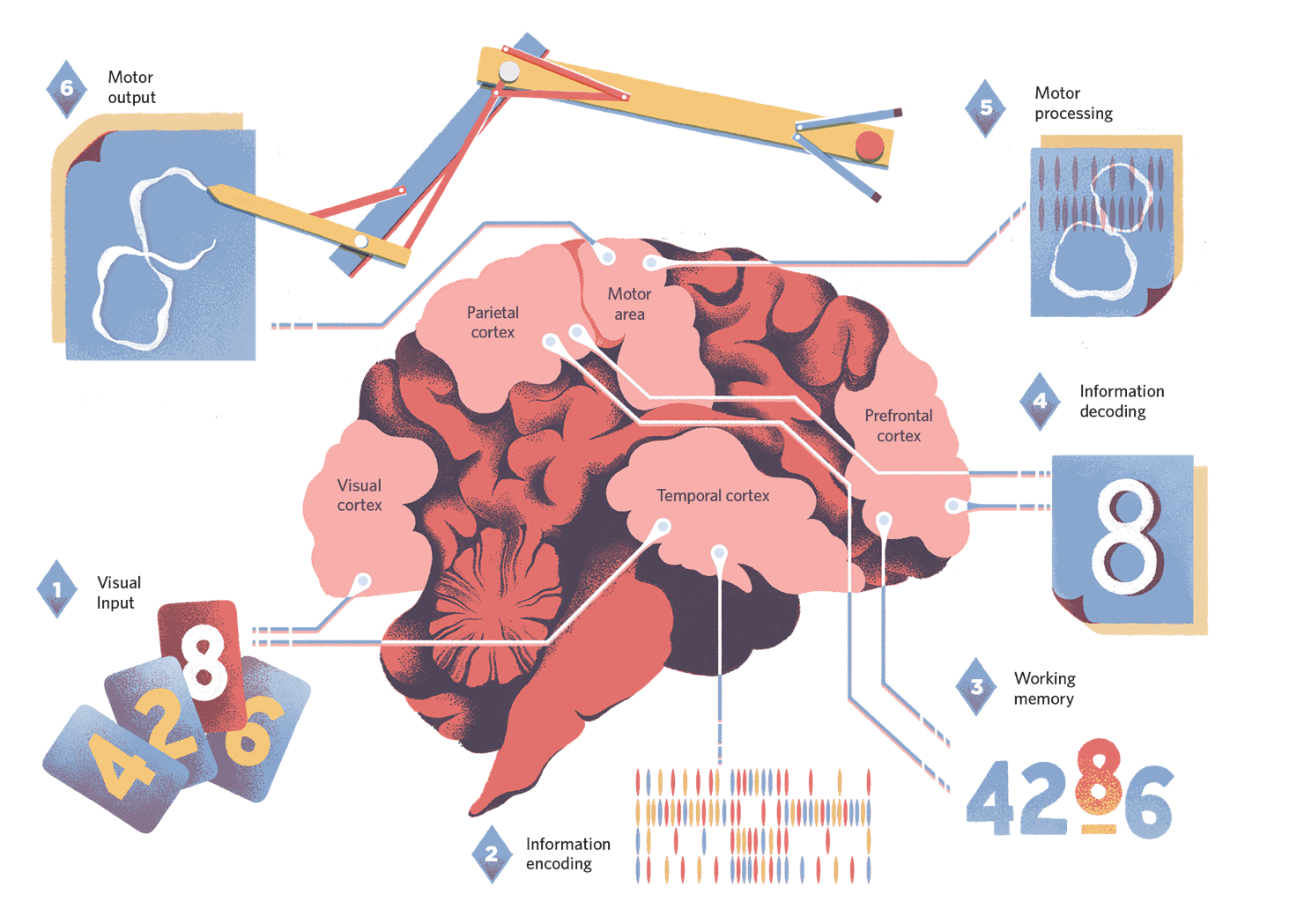 Neuromorphic computing
