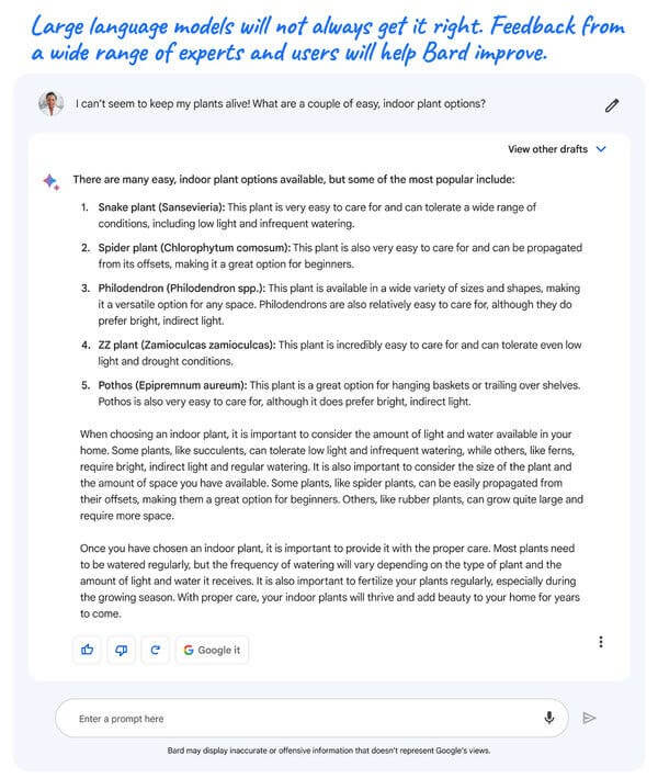 Bard google, come funziona