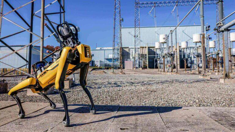 Nuovi robot quadrupedi: Spot e Go2 a confronto