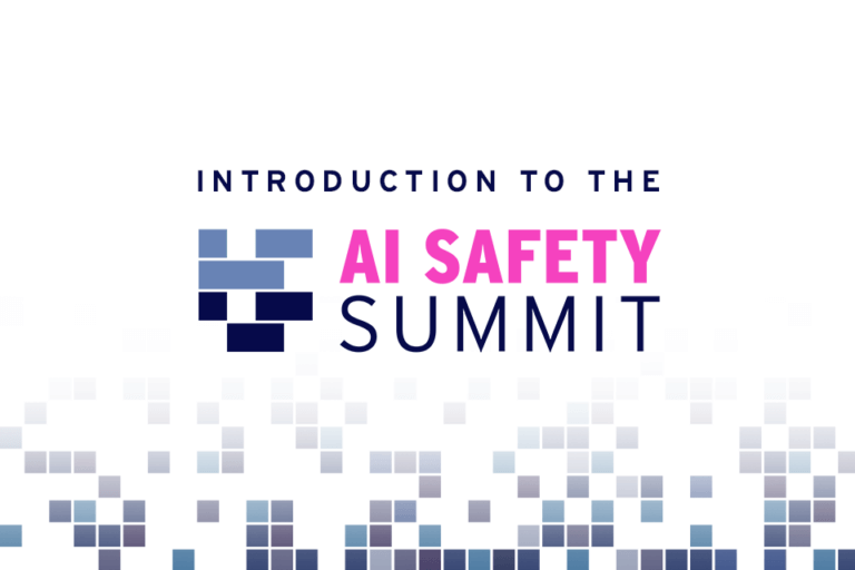 AI Safety Summit