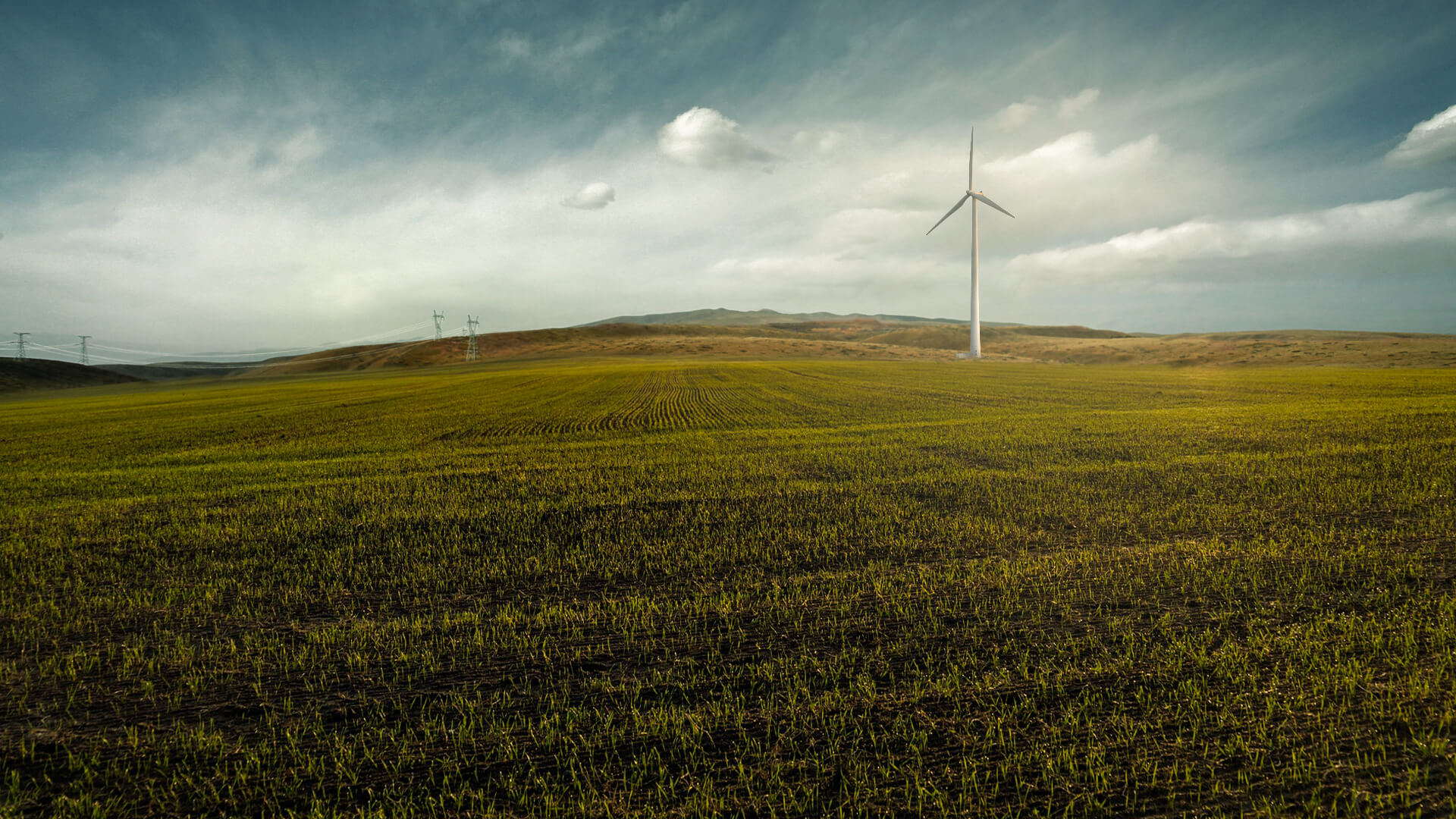 AI e green computing: come mitigare l’impatto sull’ambiente