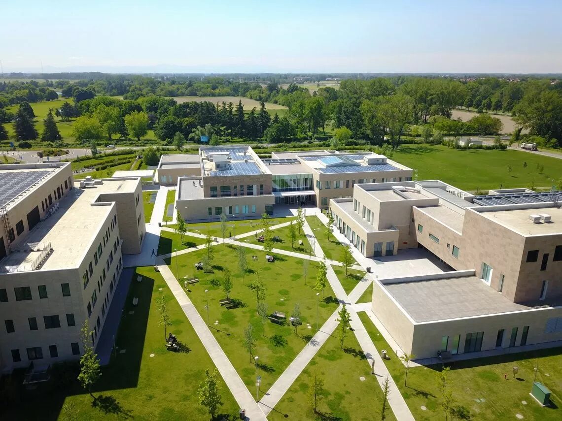 Immagine che contiene aria aperta, albero, erba, cieloIl contenuto generato dall'IA potrebbe non essere corretto.