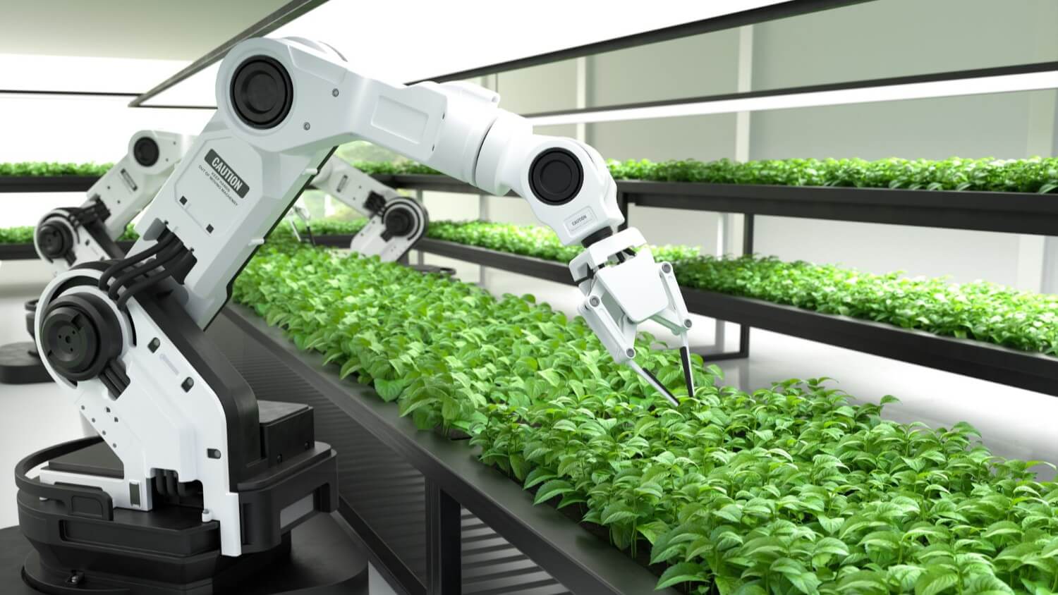 Robotica intelligente Agricoltura AI